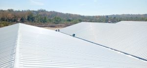 Atap-dingin-drshield